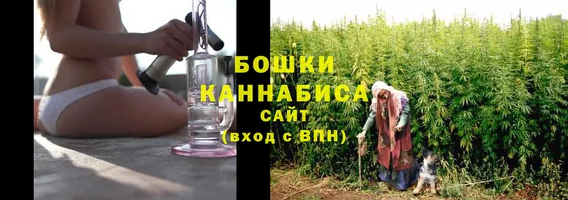 купить наркоту  Порхов  мега онион  Шишки марихуана OG Kush 